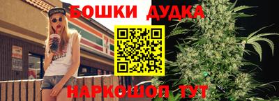 гидра Кингисепп